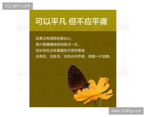 极限运动的成功秘诀陈芳分享她的心路历程与奋斗故事