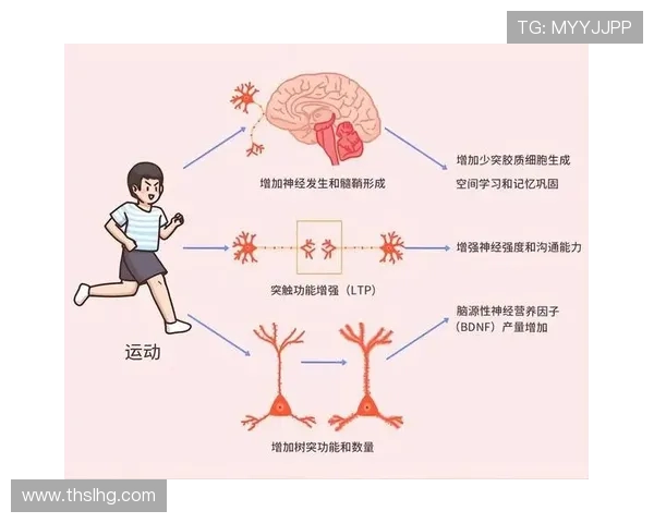 探索运动与健康的奥秘:如何通过运动提升身体素质与心理健康